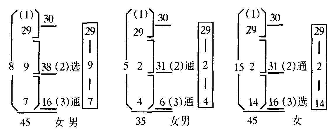 二十九畫(huà)