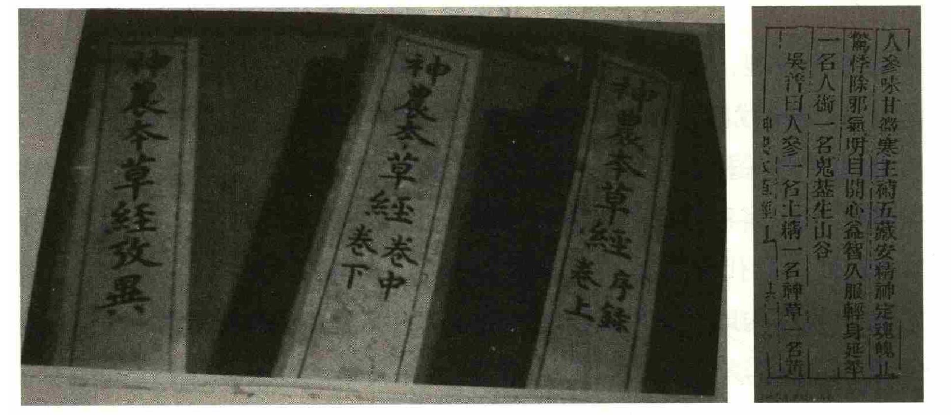 三、《神農(nóng)本草經(jīng)》輯本